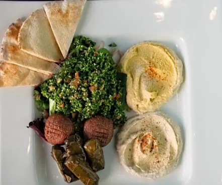 Pita Gourmet - PG5