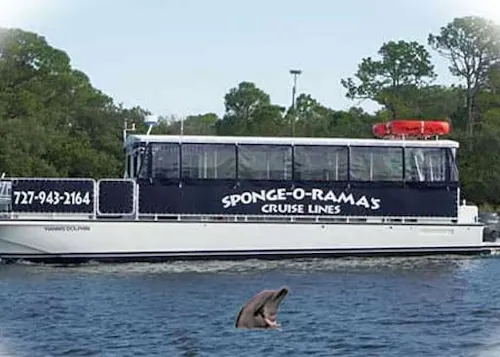 Spongeorama's Cruise Lines