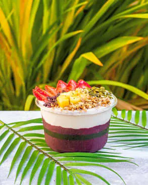 Palmetto Superfoods - Clement