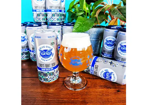 Blue Owl Brewing