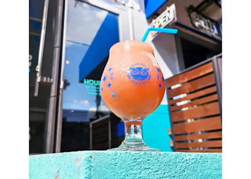 Blue Owl Brewing