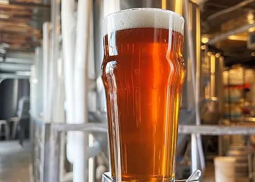 Shadow Grove Brewing