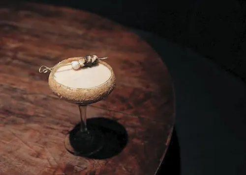 The Velveteen Speakeasy