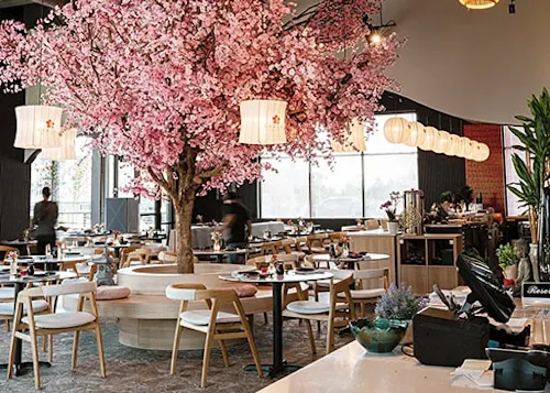 Sakura Yakitori  Sushi