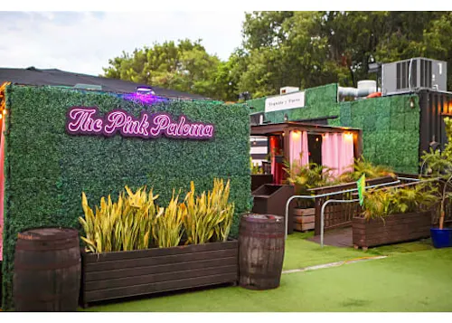 Photo 1 of 4: Pink Paloma