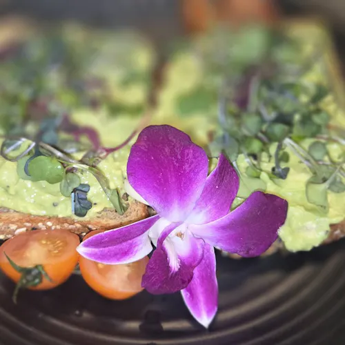 Suite 36 Brunch & Bistro