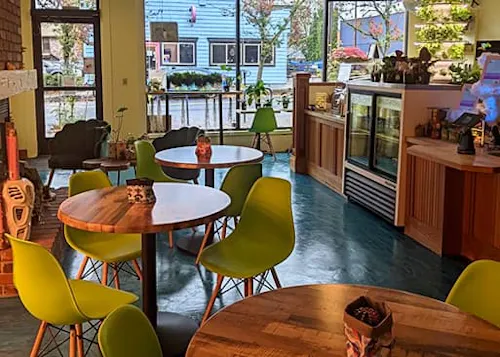 Queer Plants Cafe