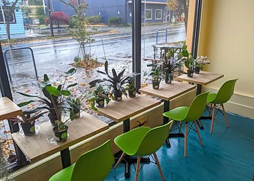 Queer Plants Cafe