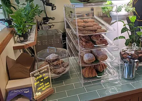 Queer Plants Cafe