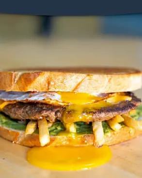 Photo 1 of 4: The Terry Melt