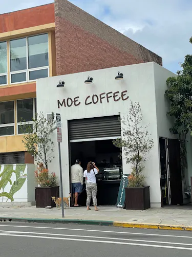 Moe Coffee - Little Italy