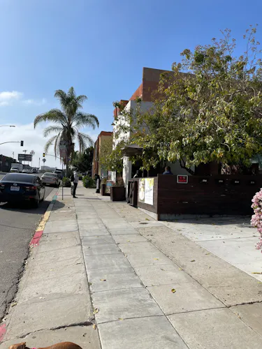 Moe Coffee - Little Italy