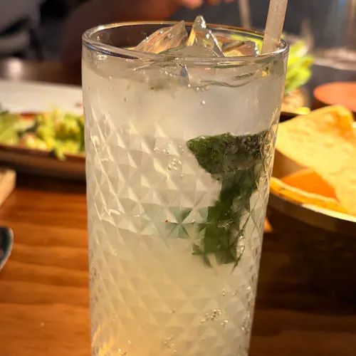 Sol Agave