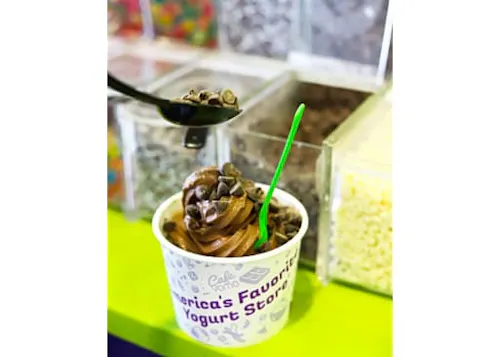 Yogurt Mountain Hoover