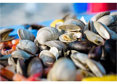 Photo 1 of 4: Shuckin' Shack Oyster Bar-Greenville