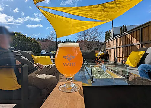 Watts Brewing Company