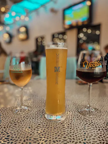 Vector Brewing
