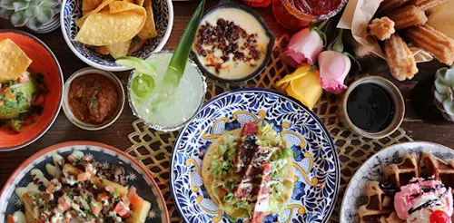 Wild Taco - Berkeley