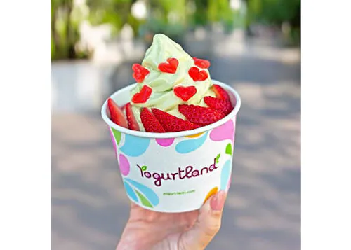 Yogurtland