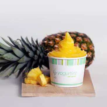 Yogurtini Buckeye
