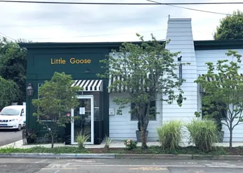 Photo 1 of 4: Little Goose