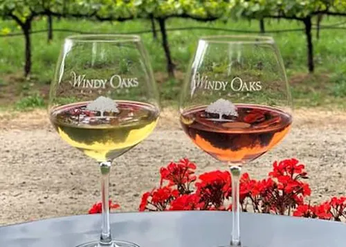 Windy Oaks - Corralitos