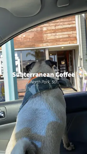 Photo 1 of 4: Subterranean Coffee - North Park
