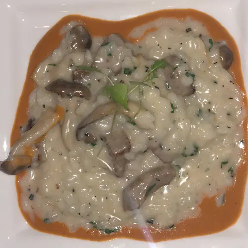 Forcella