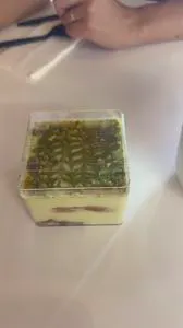 Blend & Bite Cafe