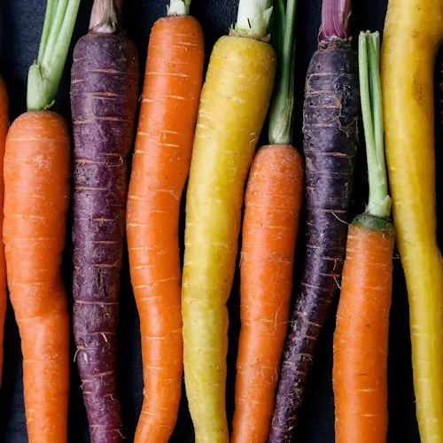24 Carrot Bistro