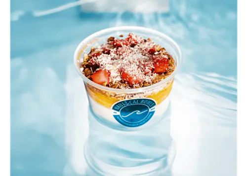 Nautical Bowls