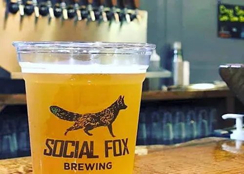 Social Fox Brewery - Norcross