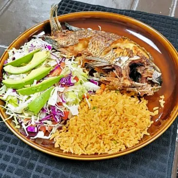 El Gran Taco Restaurant & Bar
