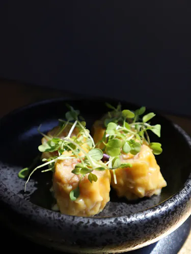 Mana Modern Chinese
