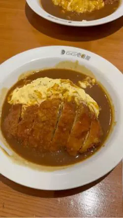 CoCo Ichibanya - Torrance