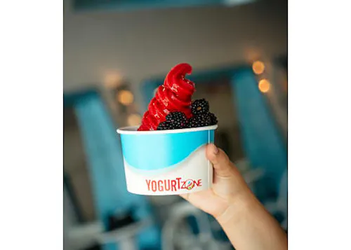 Yogurt Zone