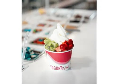 Photo 1 of 4: Yogurt Zone