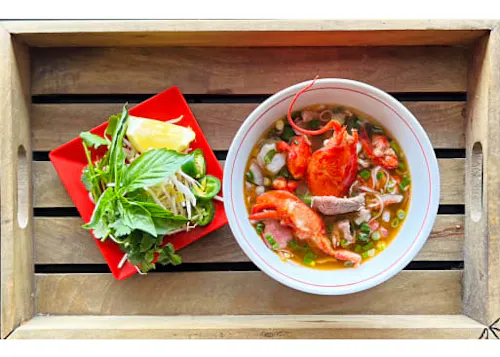 Nudo House - Delmar