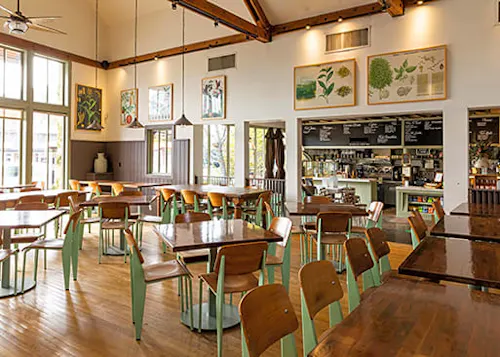 Coral Tree Cafe - Brentwood