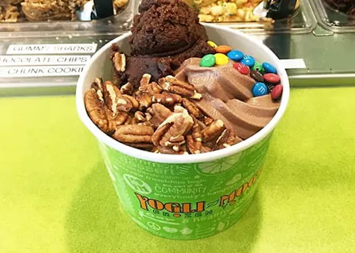 Yogli Mogli Frozen Yogurt