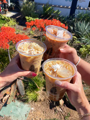 Seven Seas Roasting Co. - Solana Beach