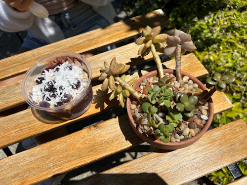 Liquid Bean Cafe