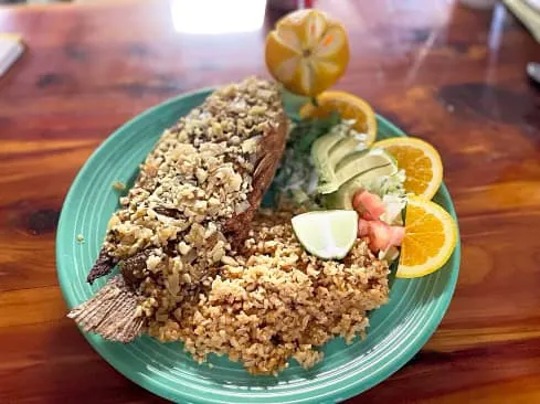 Dona Gloria Authentic Mexican Restaurant