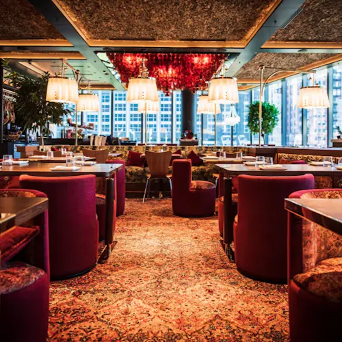 Photo 1 of 4: Bazaar Meat - Chicago