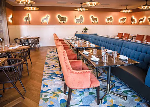 White Dog Cafe - Glen Mills