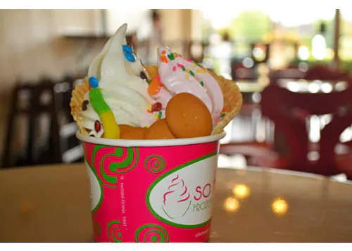 Photo 1 of 4: So Fun Yogurt Wayne