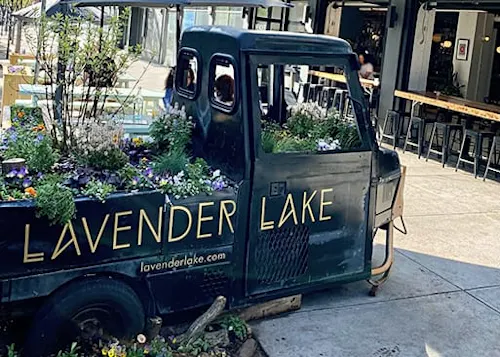 Lavender Lake Bar