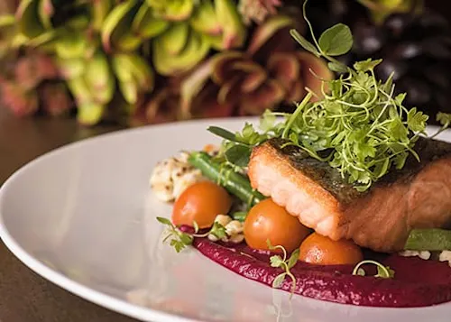 White Dog Cafe - Haverford