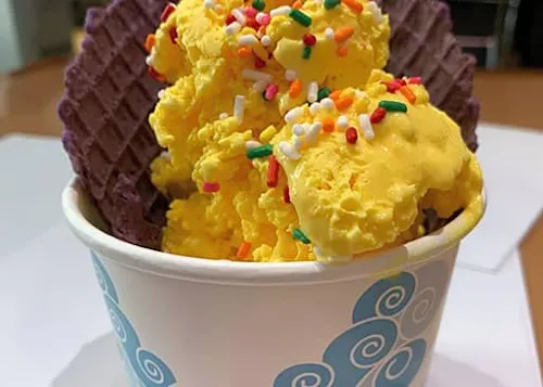 Sub Zero Nitrogen Ice Cream