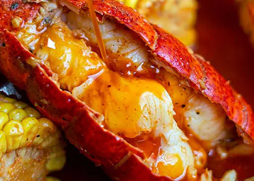Volcano Crab